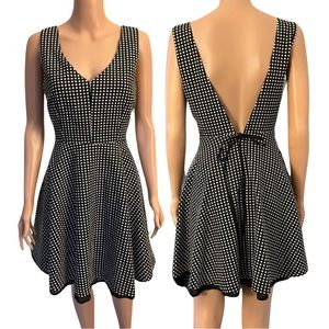 NWT Polka Dot fit & flare dress by ark & co.